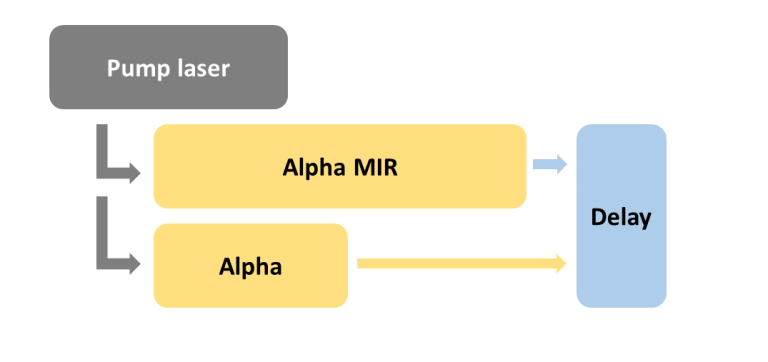 Alpha multibranch option 1